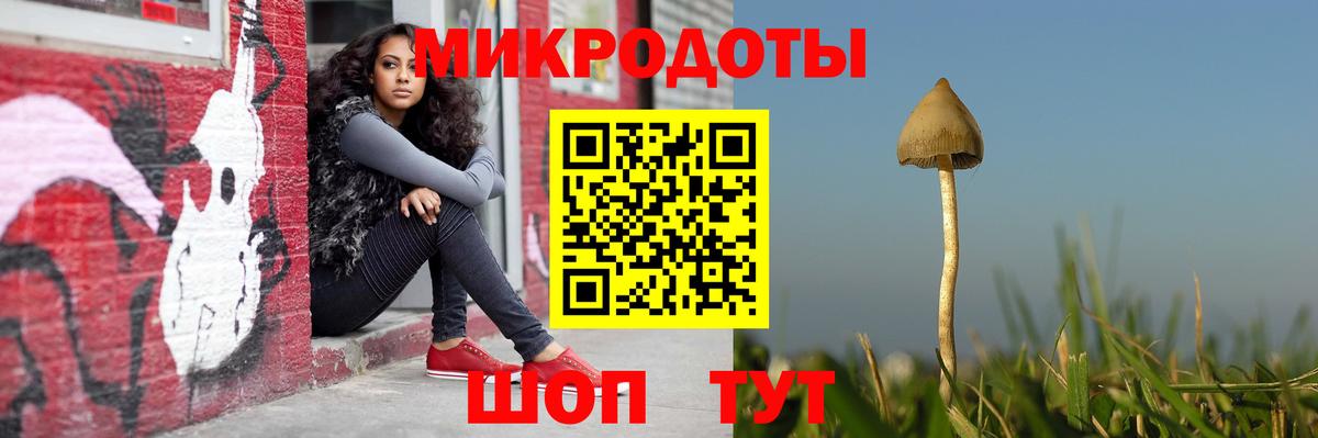 Псилоцибиновые грибы Psilocybe  Вход с VPN  Кохма 